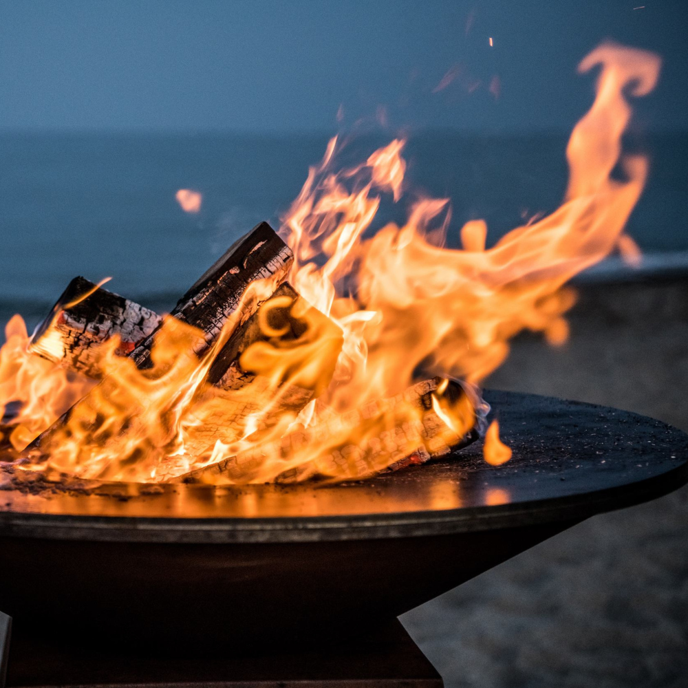 brasero barbecue plancha